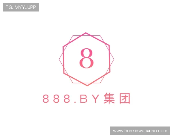 解读888.by集团